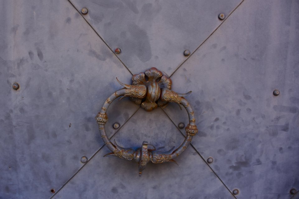 Metal Door